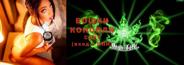 крисы Баксан