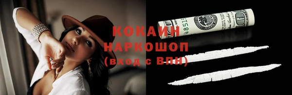 крисы Баксан