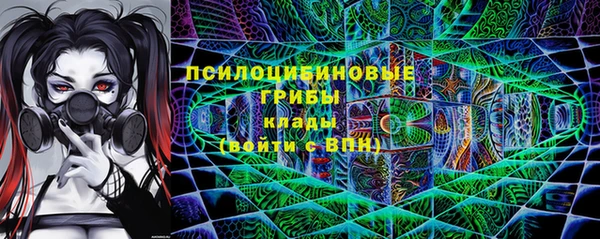 крисы Баксан