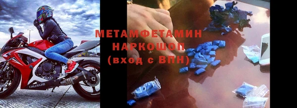 крисы Баксан