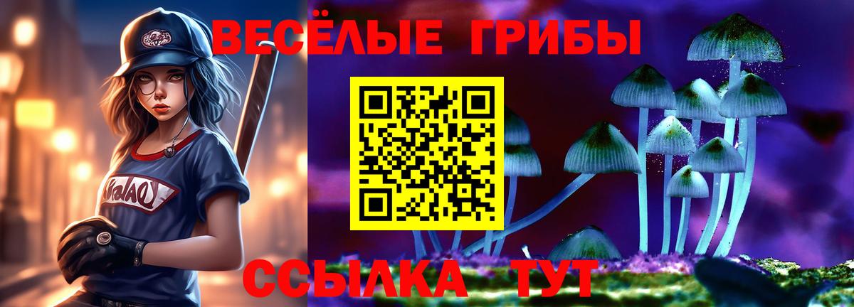 Галлюциногенные грибы мухоморы  Псилоцибиновые грибы ЛСД  Черняховск  Вход с VPN 
